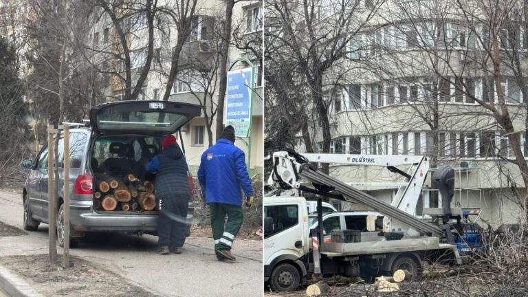 Fostul primar al Sectorului 2 acuză actuala administrație de tăierea copacilor din Pantelimon