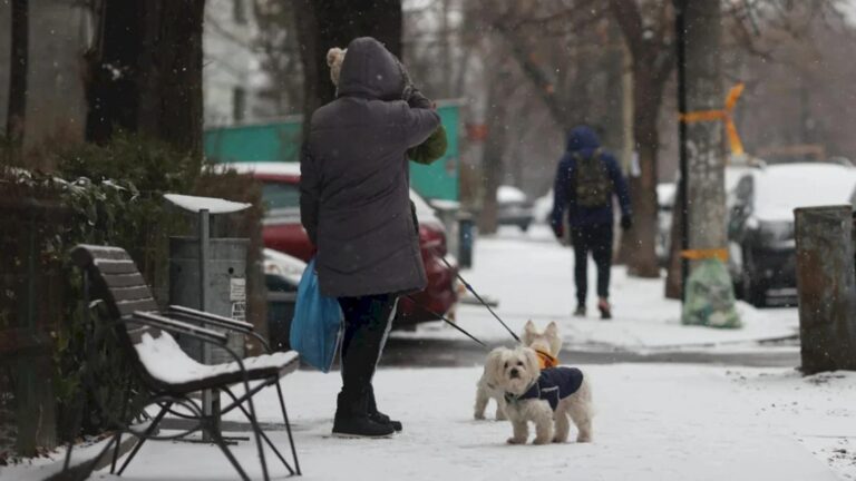 Frig și ninsori slabe în București, la început de săptămână ❄️ ANM are prognoza specială pentru Capitală, valabilă până miercuri