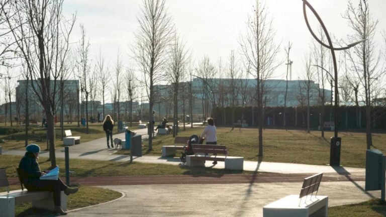 Mâine vine verișoara domnișoarei Primăvara 🥳 Vremea se încălzește în București în zilele ce vin, ne spun meteorologii în ziua-n care-a nins. Prognoza pe zile