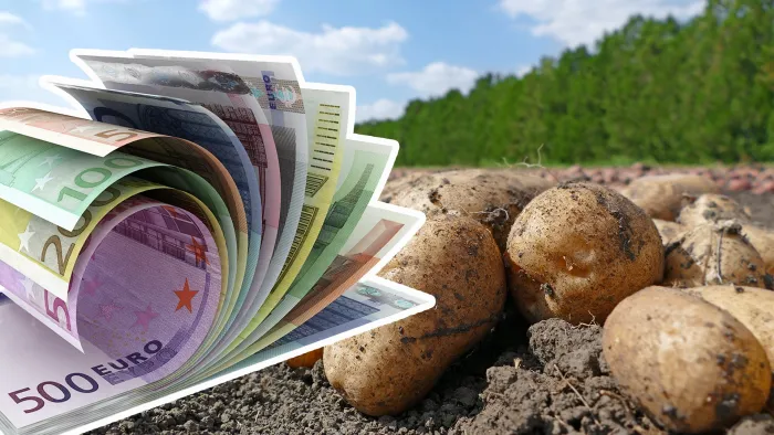 Fondurile AFIR pentru legume și cartofi sunt insuficiente: cererile au depășit bugetul cu 240%. „Banii nu acoperă nevoile fermierilor”
