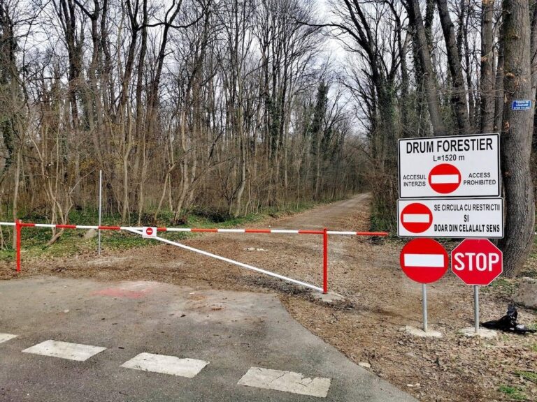 Romsilva invocă decrete comuniste pentru a justifica drumul din Greenfield