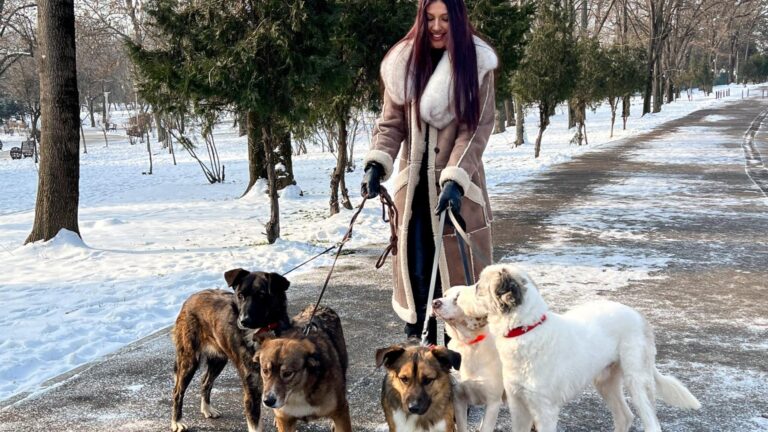 Târg de adopții ASPA, mâine, în Dorobanți. Mai mulți cățeluși își așteaptă viitorii stăpâni la cafeneaua The Brewprint. Va participa și Alina Eremia