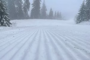 Doi schiori recuperați de jandarmi pe pârtia Cocora din Bucegi