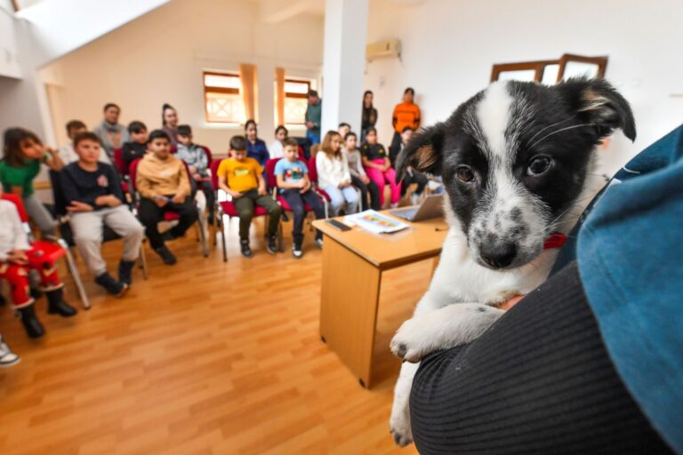 Micul Max de la ASPA, „profesor de împrietenire cu căței” pentru copiii de la Centrul de Zi „Sfânta Maria” din Sectorul 2