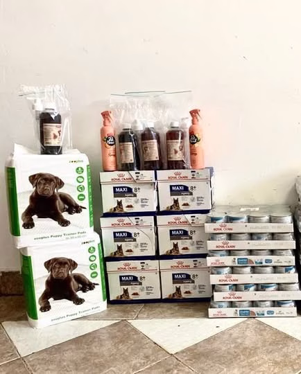 ASPA solicită donații pentru câini vulnerabili din adăposturi