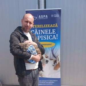 Campanie de sterilizări gratuite pentru 150 de pisici în aprilie