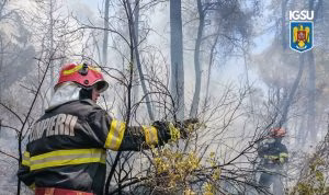 IGSU semnalează primele incendii de vegetație din 2026