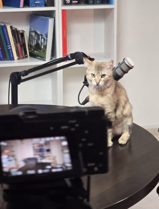 Nicușor Dan pregătește un podcast despre București