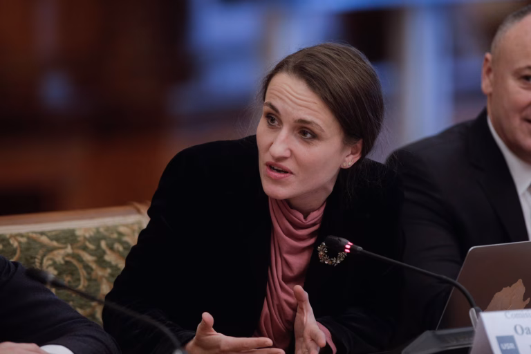 Oana Țoiu, audiată în Parlament pentru repatrierea românilor