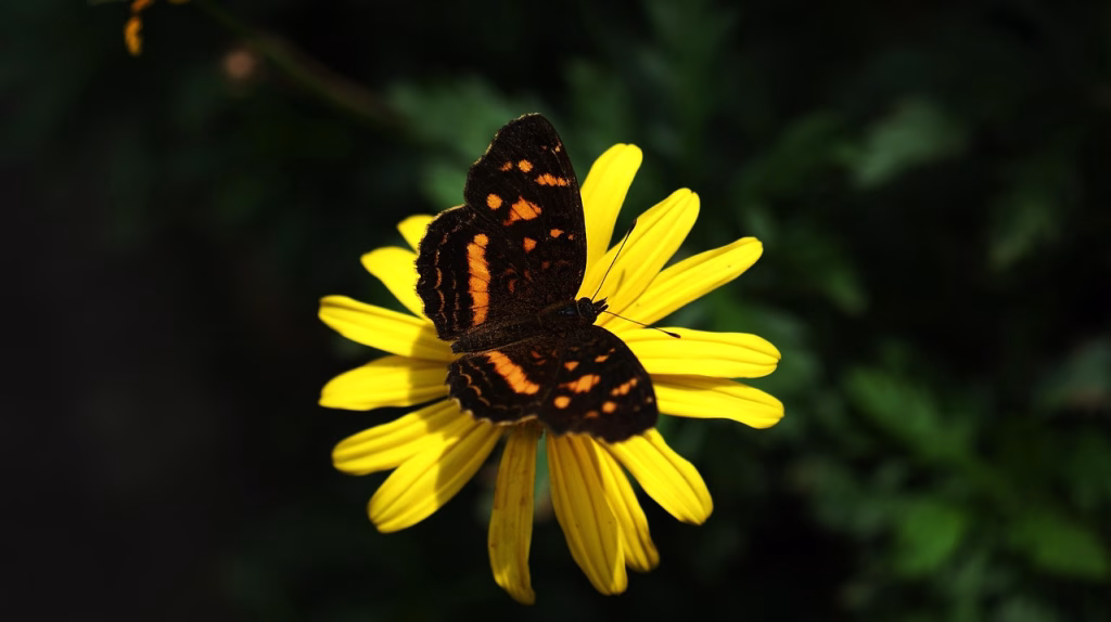 Reducere de 10% la impozite în Sectorul 5 până la 31 martie - Sector 4 (Stock photo)