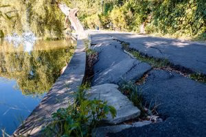 Ciucu anunță dezbatere publică pentru renovarea Parcului Herăstrău