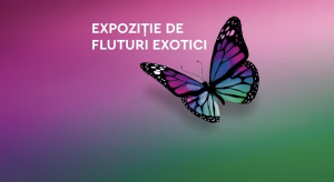 Muzeul Antipa a deschis expoziția „Cocon”