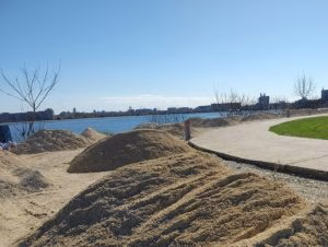 Sectorul 6 prioritizează educația și spațiile verzi în 2026 - Utile