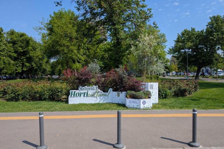 Primăria Sectorului 1 a alocat 1,5 milioane lei pentru Zilele Horticulturii