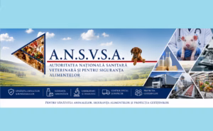 Comandamentul Estival Regional 2026 a fost deschis la Constanța