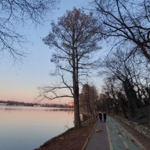 Lacul Herăstrău intră în proces de golire pentru consolidare maluri
