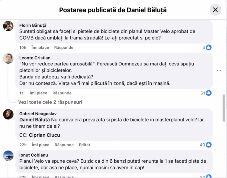 Primăria Sectorului 4 plantează 300 de copaci pe Calea Văcărești