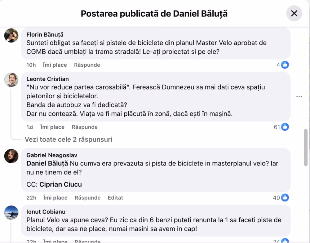 Primăria Sectorului 4 plantează 300 de copaci pe Calea Văcărești - Sector 4