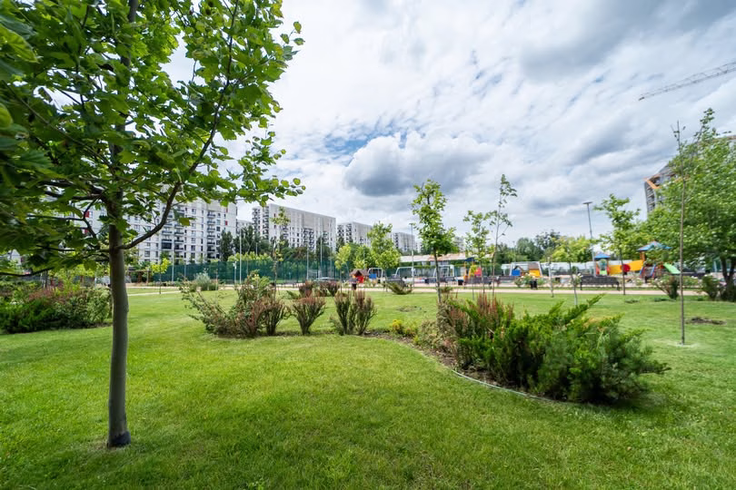 Sectorul 6 prioritizează spații verzi în locul parcărilor - Utile