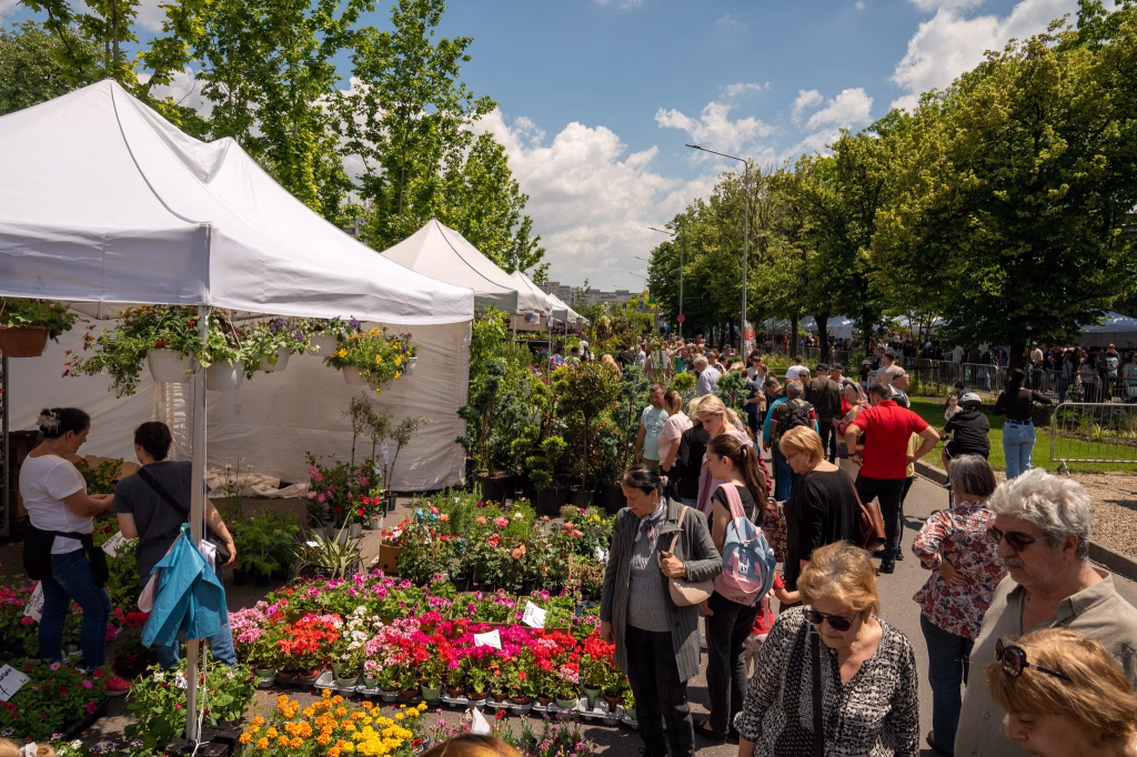 West Side Flower Fest 2026 debutează în Parcul Drumul Taberei - Sector 6