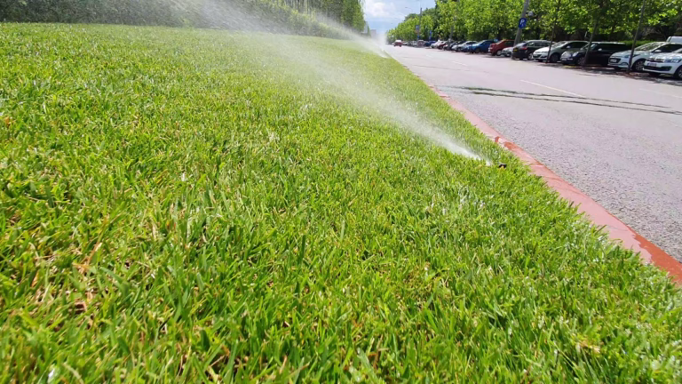 Sectorul 3 folosește o rețea de 130 de kilometri pentru irigarea spațiilor verzi
