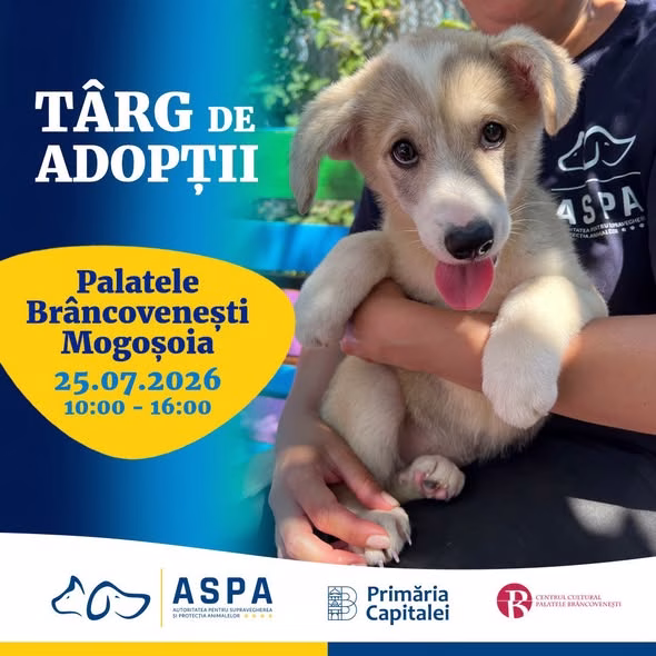 ASPA organizează eveniment de adopții canine la Mogoșoaia