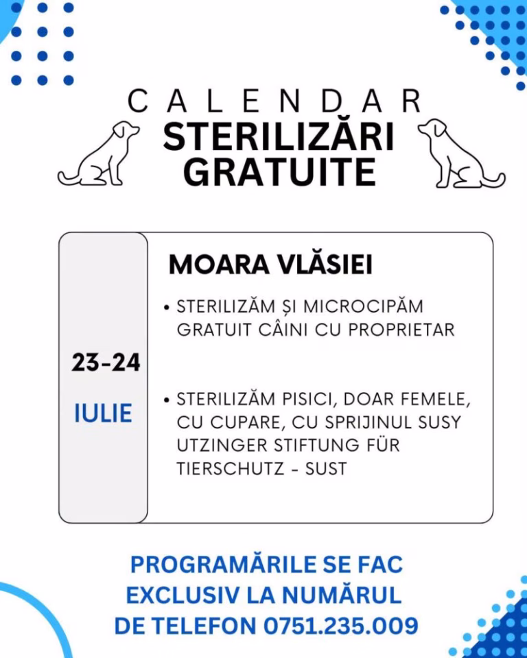 Ilfov anunță sterilizări gratuite pentru câini pe 23-24 iulie