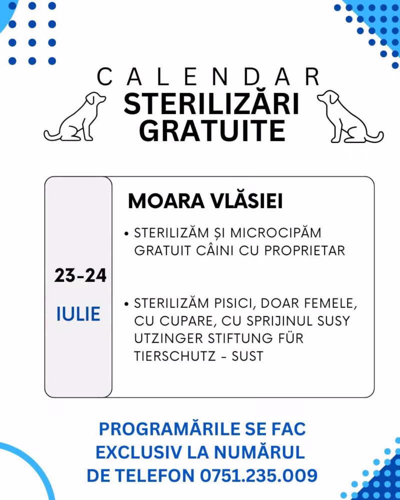Ilfov anunță sterilizări gratuite pentru câini pe 23-24 iulie - Bucuresti