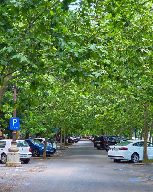 Primăria Sectorului 3 anunță temperaturi extreme peste 40°C - Utile