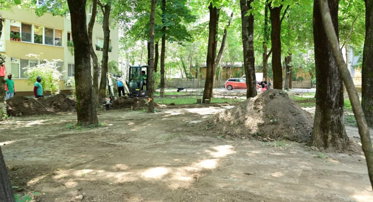 Sector 1 reamenajează 8.000 mp de spații verzi în Pajura
