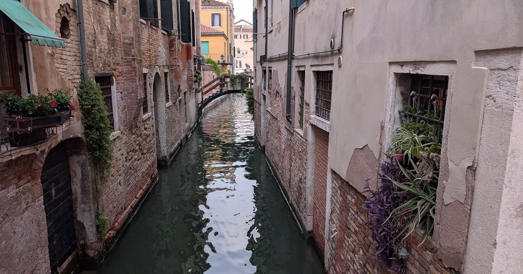 Bienala de la Veneția 2026: artă, ecologie și contradicții instituționale - Evenimente