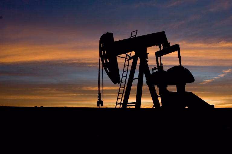 Șase state UE cer taxarea profiturilor companiilor petroliere