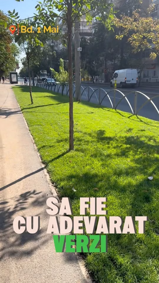 Sectorul 6 a amenajat 44 de hectare de spații verzi în 5 ani - Utile