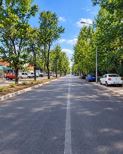 ADPDU Sector 6 amenajează spații verzi pe Strada Apusului - Utile