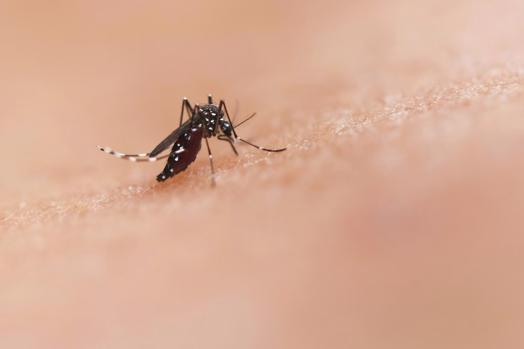 București și Ilfov concentrează peste jumătate din cazurile West Nile - Bucuresti