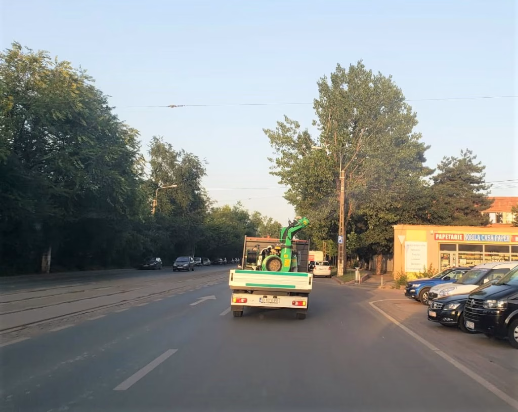 Eco Igienizare aplică tratament antitânțari luni noaptea - Bucuresti