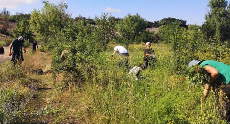 Parcul Văcărești organizează vizite școlare în „Săptămâna verde”