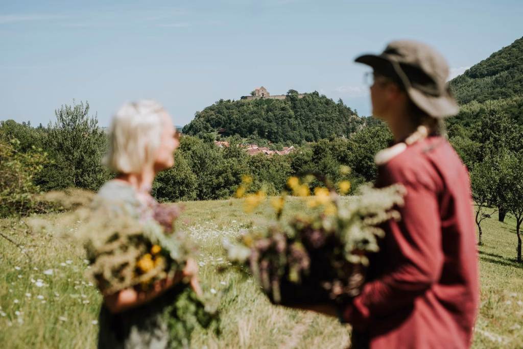 Cisnădioara oferă nouă locații gastronomice diferite vizitatorilor - Evenimente