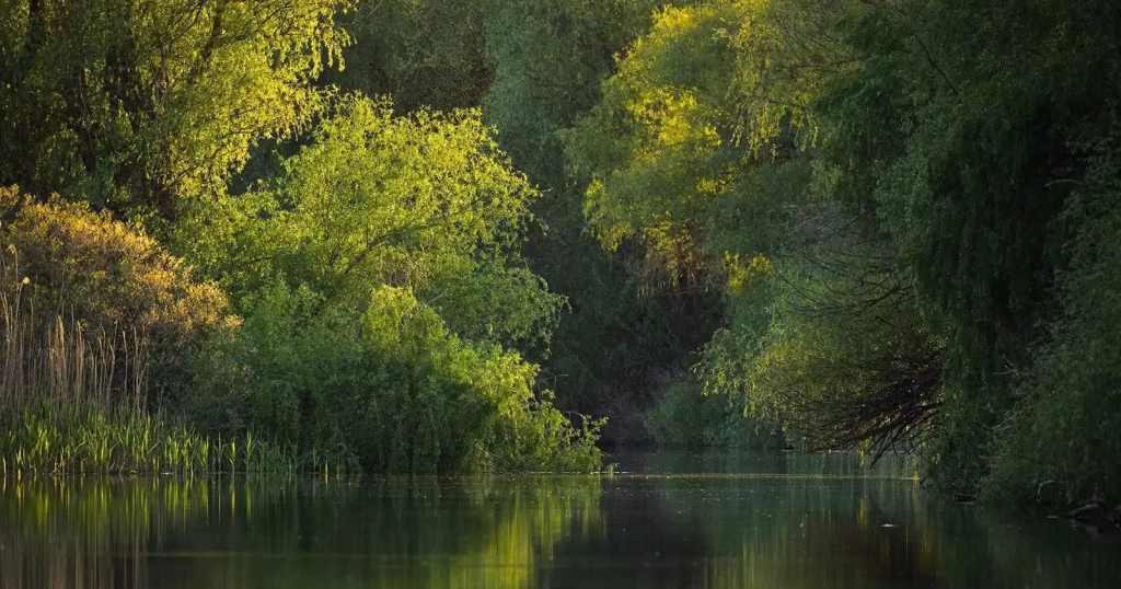 Documentarul Delta Sălbatică ajunge în 10 orașe din 5 octombrie - Evenimente