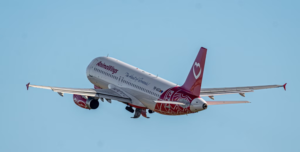 Două avioane Animawings au părăsit România după insolvență - Opinii