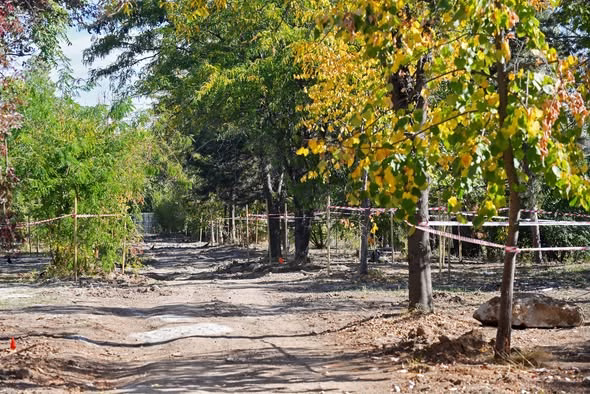 Sectorul 6: lucrări pentru parcul de 3,1 hectare din Grozăvești - Utile