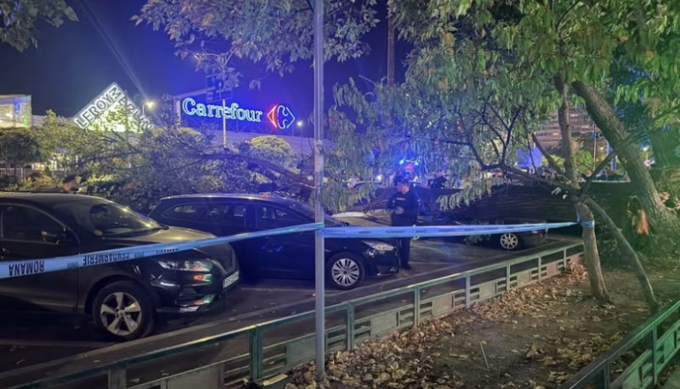 Un copac căzut a avariat patru mașini în Sectorul 6